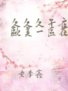 久久久午夜影院欧美一区在线观看