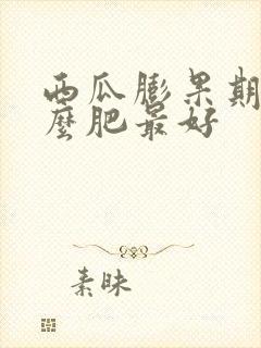 西瓜膨果期用什么肥最好