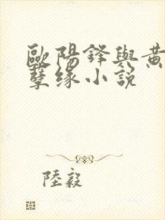 欧阳锋与黄蓉的孽缘小说