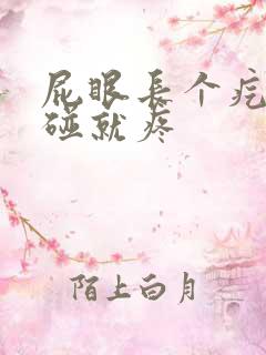 屁眼长个疙瘩一碰就疼