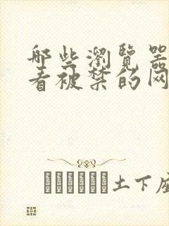 哪些浏览器可以看被禁的网站
