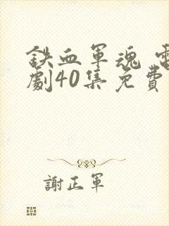 铁血军魂 电视剧40集免费观看