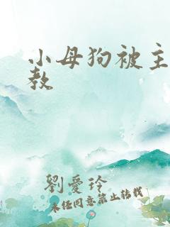 小母狗被主人调教