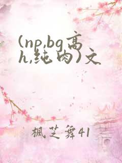 (np,bg高h,纯肉)文
