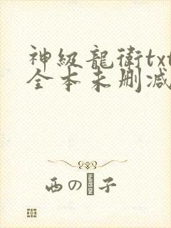 神级龙卫txt全本未删减下载