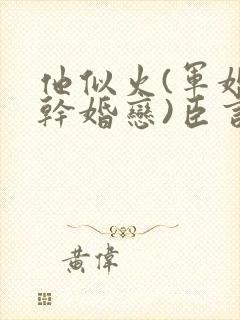 他似火(军婚高干婚恋)臣言最新章节