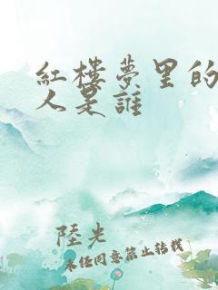 红楼梦里的王夫人是谁