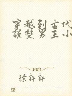 穿越到古代的小说双男主小说