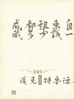 成都租车自驾西藏多少钱一天