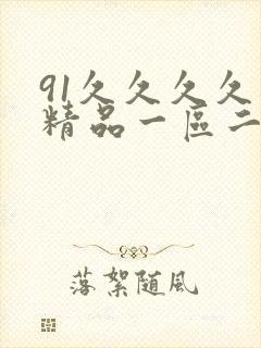 91久久久久久精品一区二区