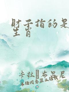 财子指的是什么生肖