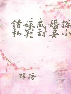 错嫁成婚总裁的私宠甜妻小说完整版