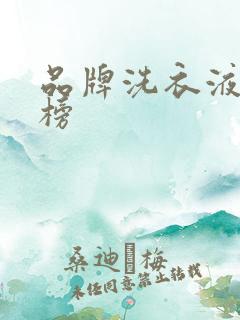 品牌洗衣液排行榜