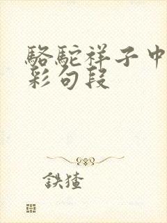骆驼祥子中的精彩句段 骆驼祥子中的精彩句段