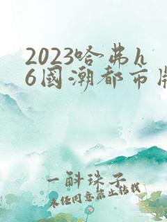 2023哈弗h6国潮都市版