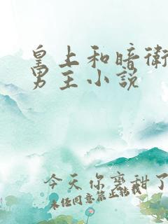 皇上和暗卫的双男主小说