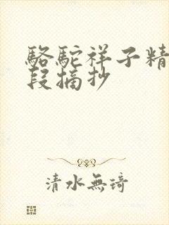 骆驼祥子精彩语段摘抄 骆驼祥子精彩语段摘抄