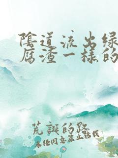 阴道流出绿色豆腐渣一样的东西
