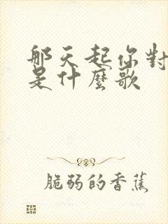 那天起你对我说是什么歌