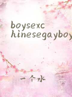 boysexchinesegayboy