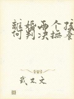 离婚两个孩子如何判决抚养权