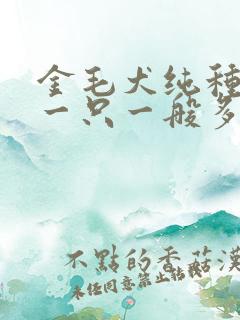 金毛犬纯种幼犬一只一般多少钱