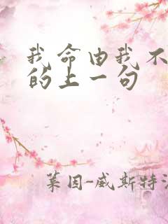 我命由我不由天的上一句