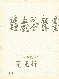 追上我就爱上你短剧全集完整版视频