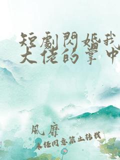 短剧闪婚我成了大佬的掌中之物