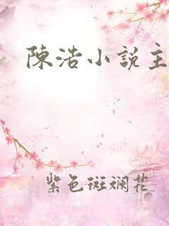 陈浩小说主角