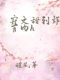 宠文甜到炸无虐有肉h 宠文甜到炸无虐有肉h