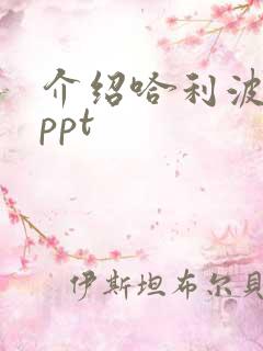 介绍哈利波特的ppt 介绍哈利波特的ppt