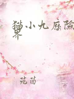 猫小九历险记境界 猫小九历险记境界