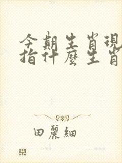 今期生肖现玄机指什么生肖