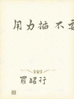 用力插 不要停
