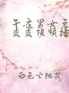 午夜男女免费爽爽爽视频播放动漫