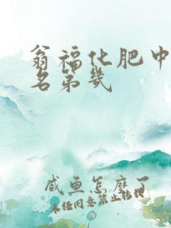 翁福化肥中国排名第几