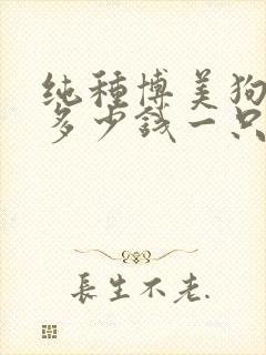 纯种博美狗价格多少钱一只