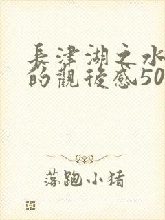 长津湖之水门桥的观后感500字 长津湖之水门桥的观后感500字