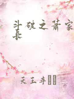 斗破之萧家老族长 斗破之萧家老族长