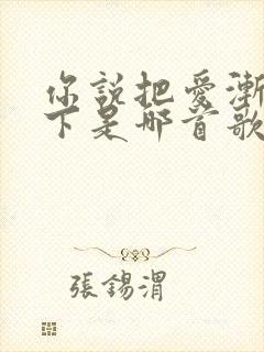 你说把爱渐渐放下是哪首歌的歌词