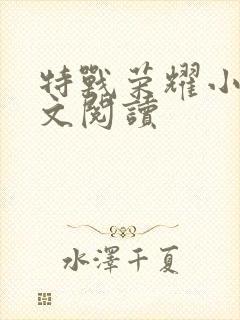 特战荣耀小说全文阅读