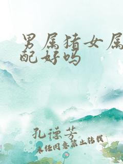 男属猪女属兔婚配好吗