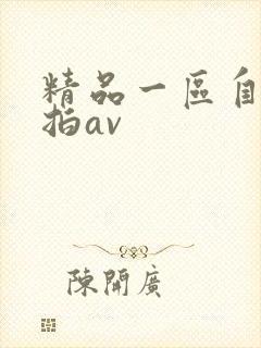 精品一区自拍偷拍av