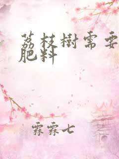 荔枝树需要什么肥料