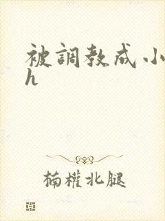 被调教成小母狗h 被调教成小母狗h