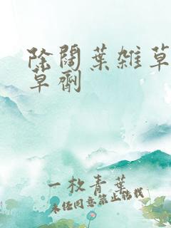 除阔叶杂草的除草剂