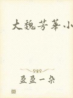 大魏芳华小说