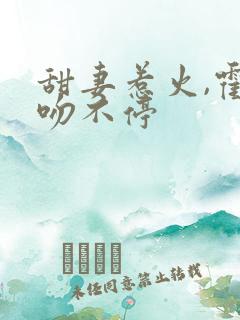 甜妻惹火,霍少吻不停 甜妻惹火,霍少吻不停