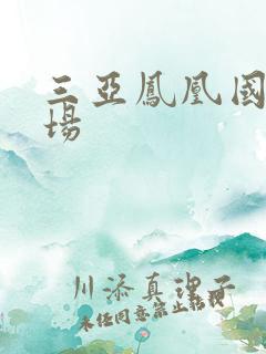 三亚凤凰国际机场